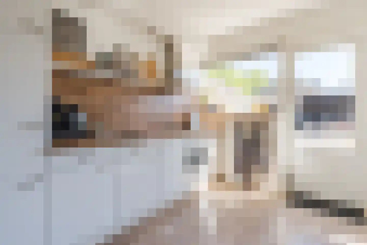 De Kamp 32 Vroomshoop thumbnail 11