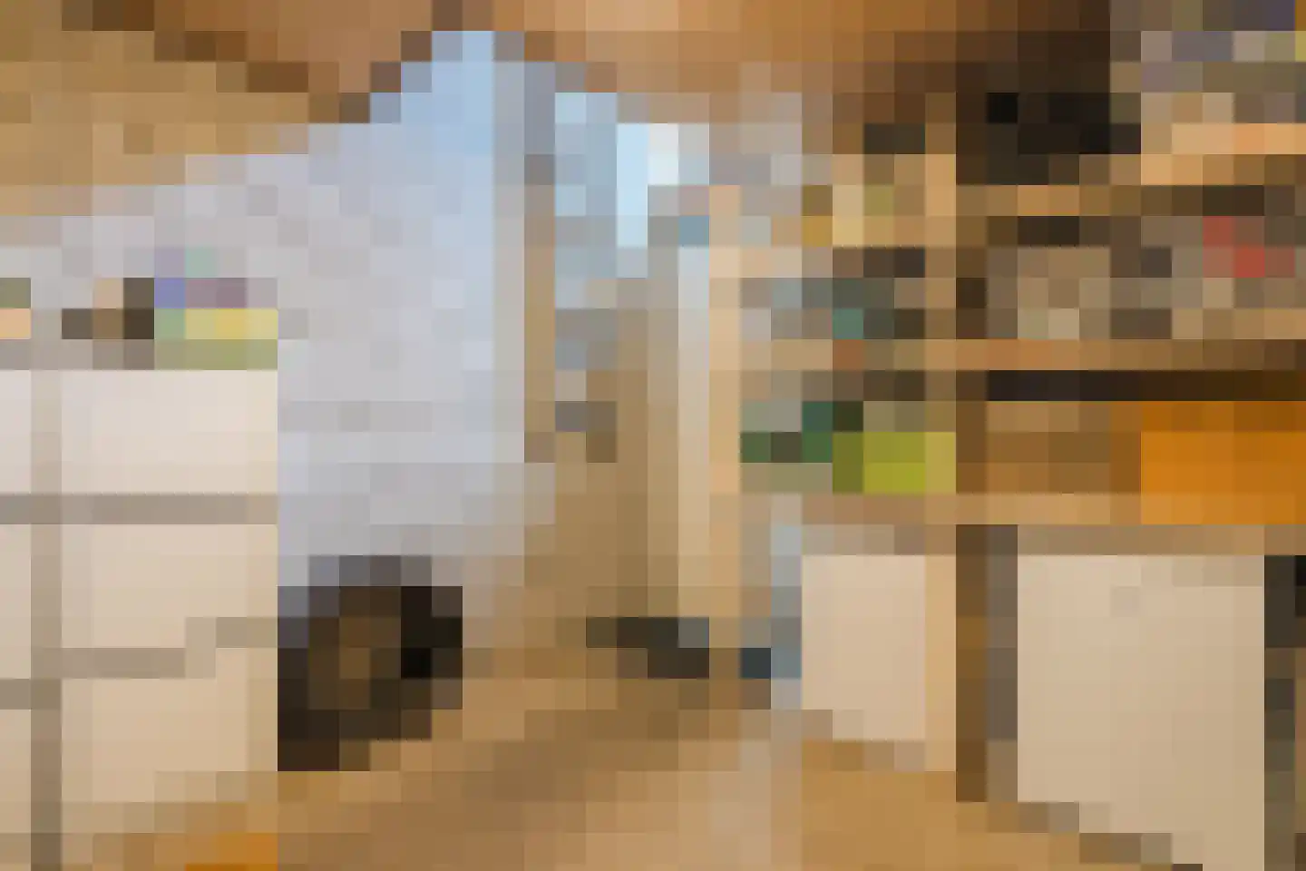 De Kamp 32 Vroomshoop thumbnail 15