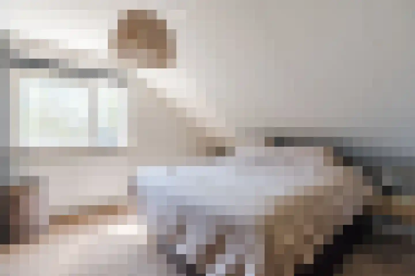 De Kamp 32 Vroomshoop thumbnail 18