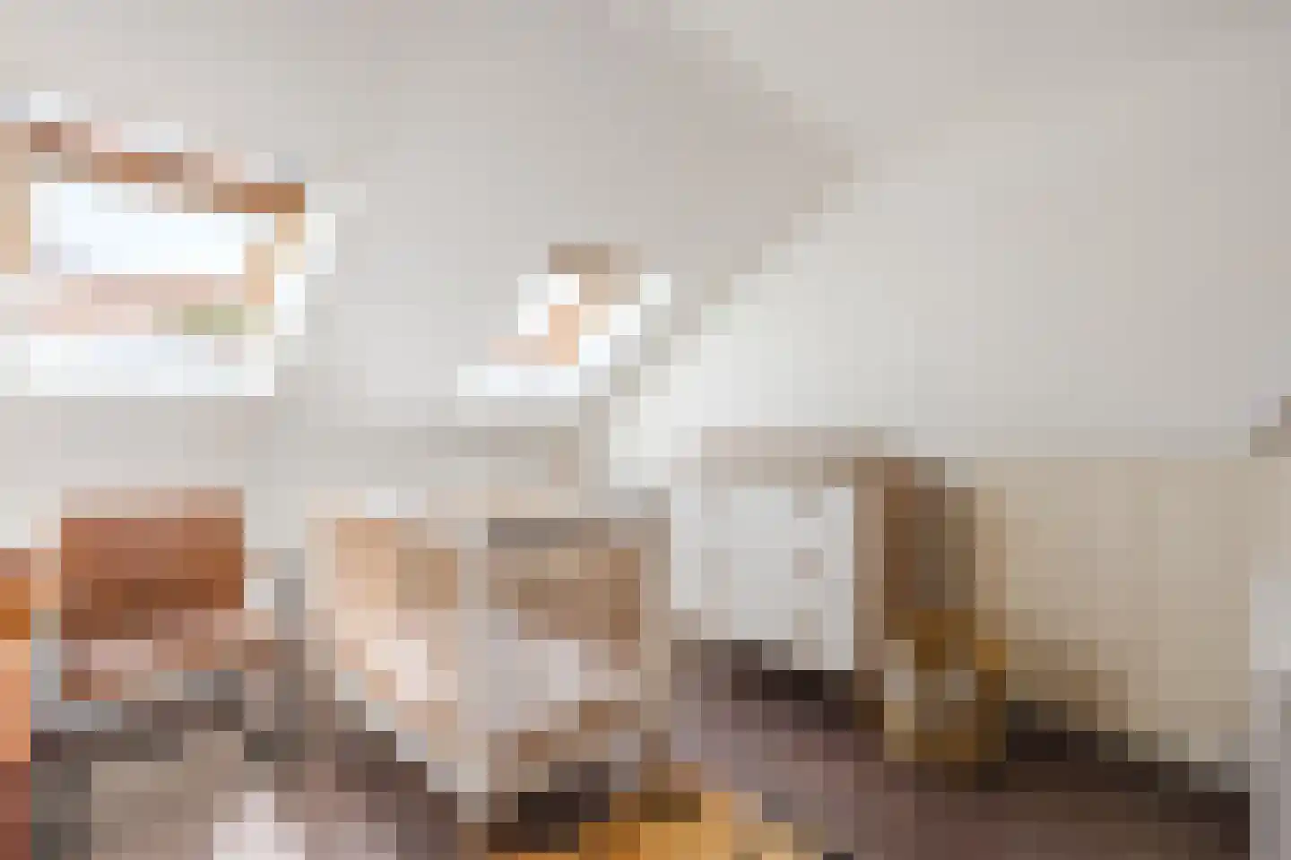 De Kamp 32 Vroomshoop thumbnail 20