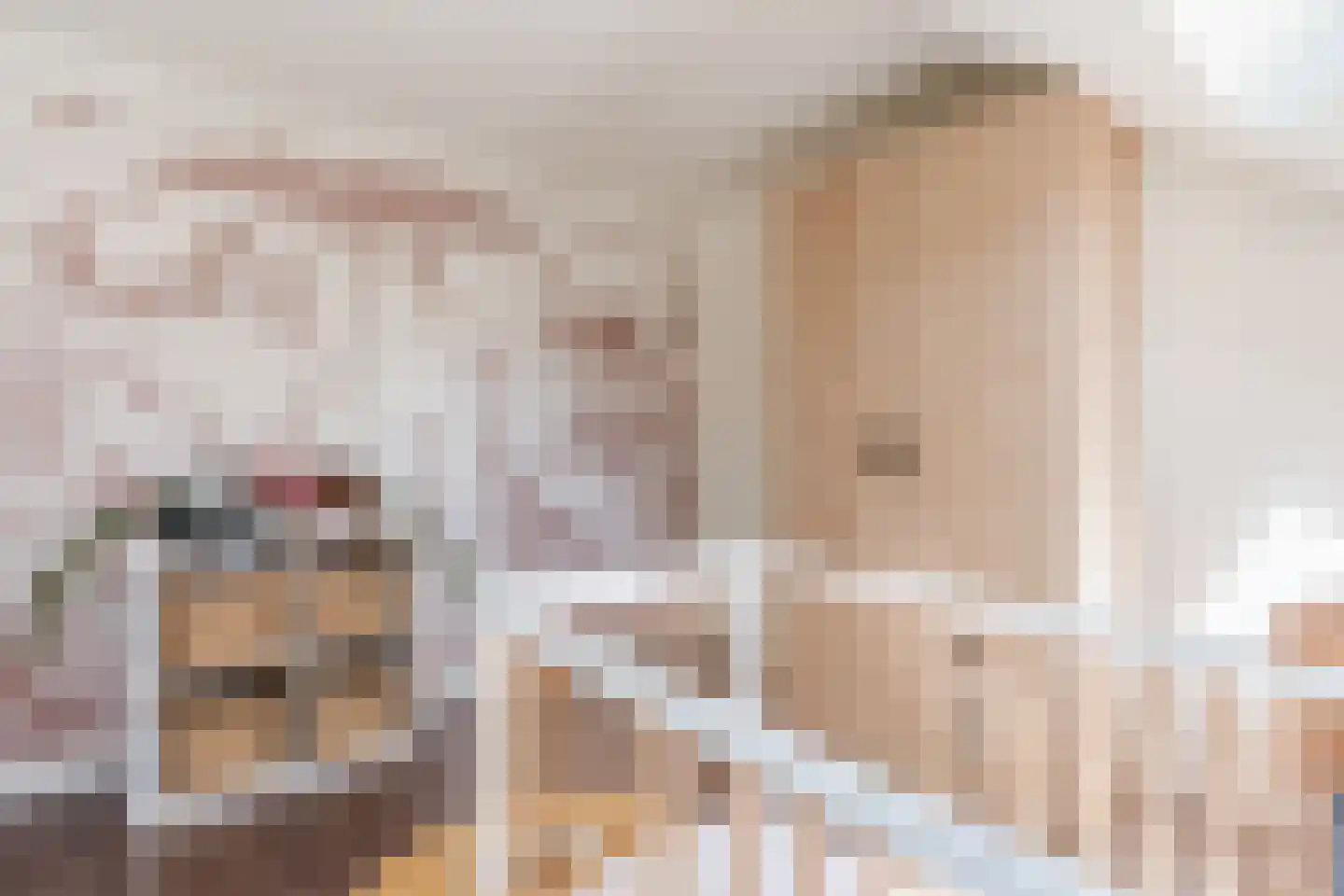 De Kamp 32 Vroomshoop thumbnail 22