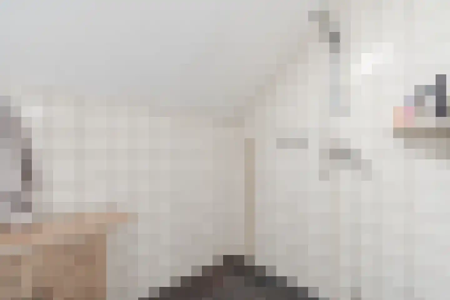 De Kamp 32 Vroomshoop thumbnail 23