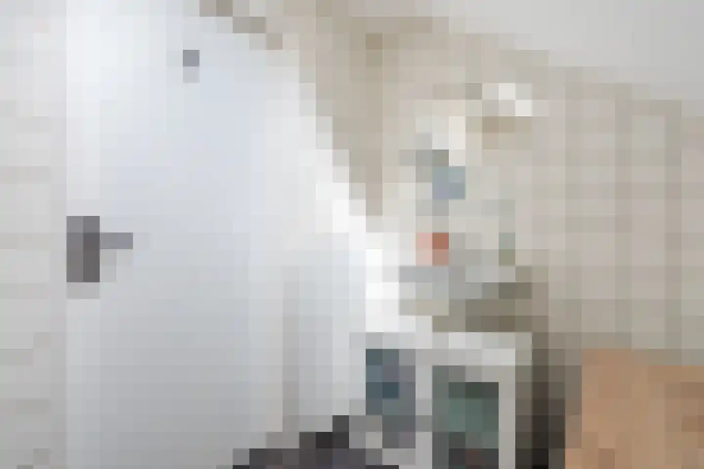 De Kamp 32 Vroomshoop thumbnail 24