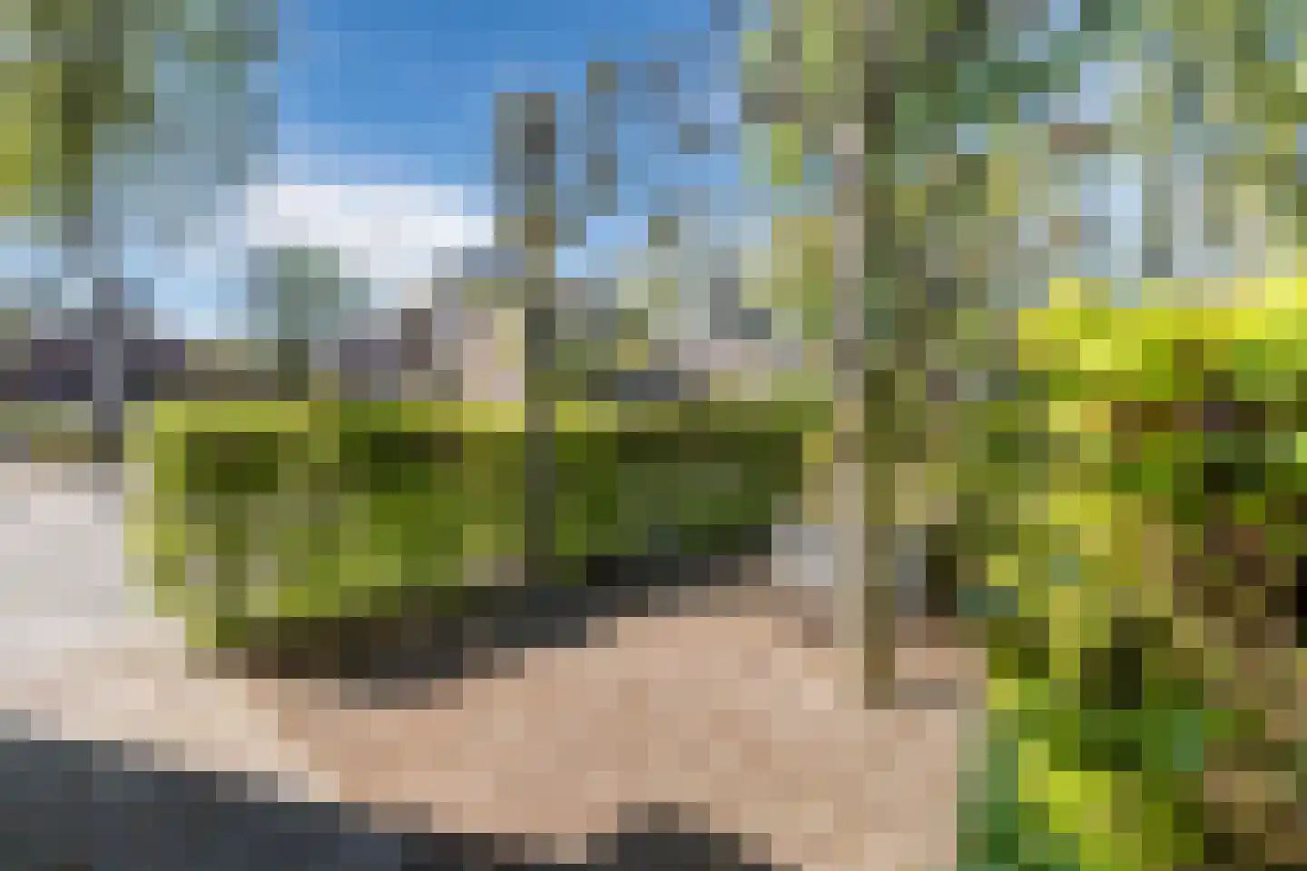 De Kamp 32 Vroomshoop thumbnail 37