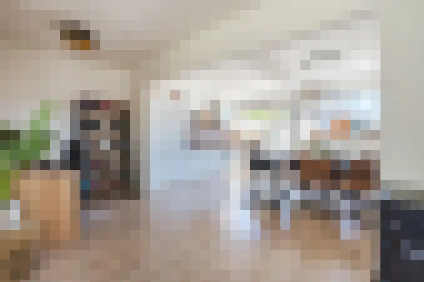 De Kamp 32 Vroomshoop thumbnail 4