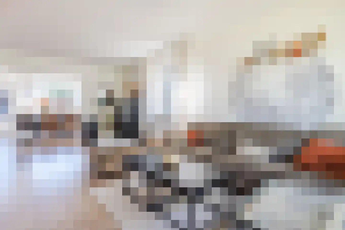 De Kamp 32 Vroomshoop thumbnail 6