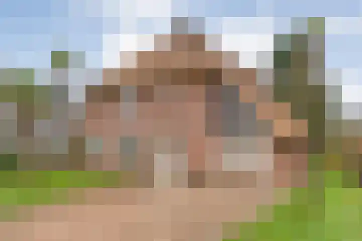 de Kamp 34 Ommen foto 2