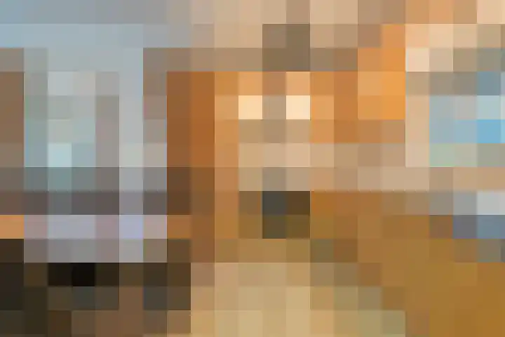de Kamp 34 Ommen thumbnail 21