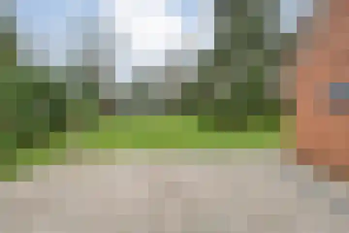 de Kamp 34 Ommen thumbnail 43