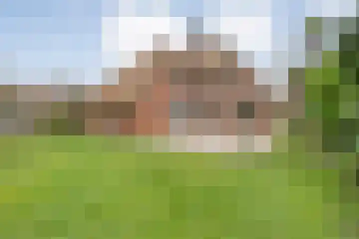 de Kamp 34 Ommen thumbnail 45