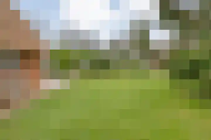 de Kamp 34 Ommen thumbnail 46