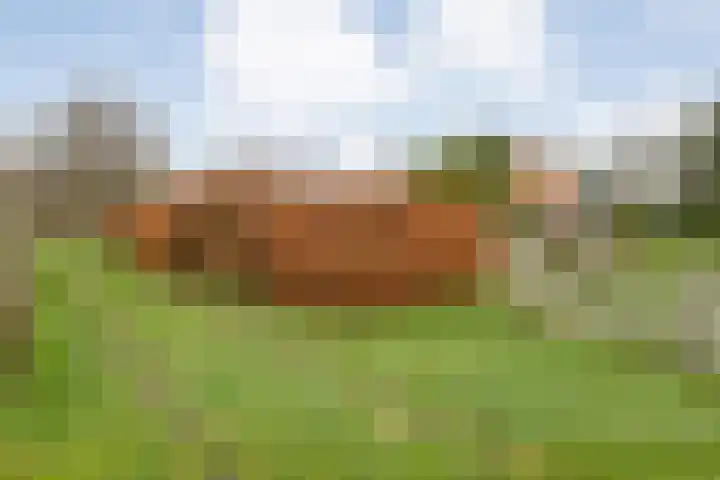 de Kamp 34 Ommen thumbnail 55