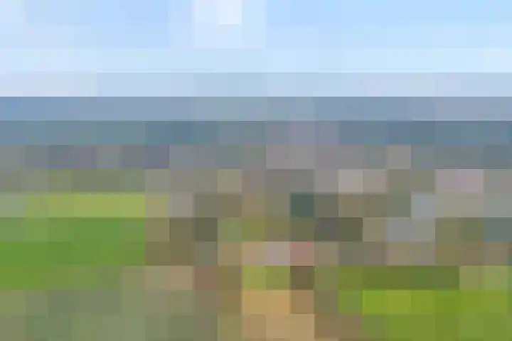 de Kamp 34 Ommen thumbnail 6