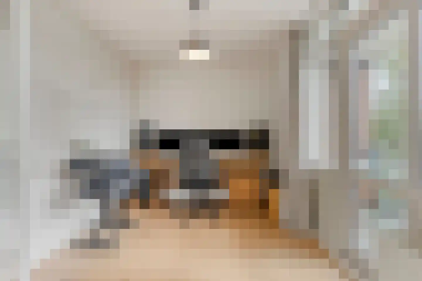 De Kamp 36 Deventer thumbnail 11