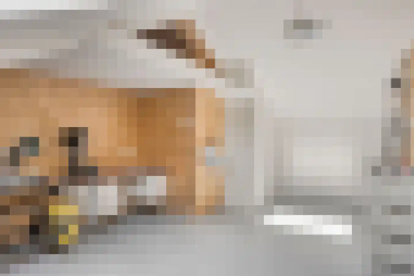 De Kamp 36 Deventer thumbnail 28