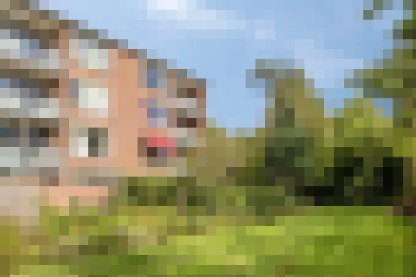 De Kamp 36 Deventer thumbnail 30