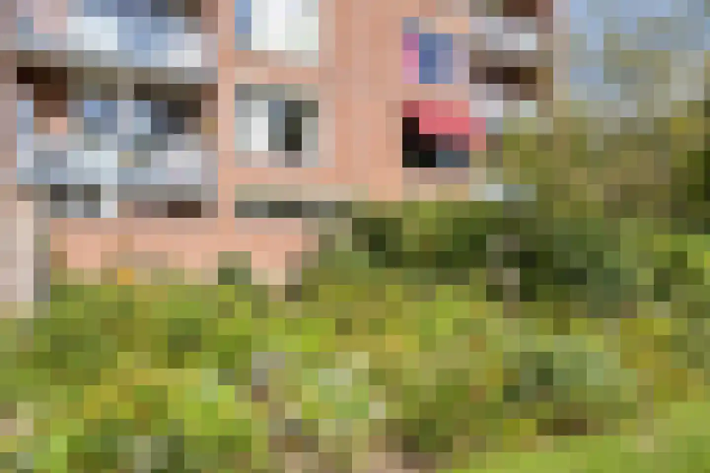 De Kamp 36 Deventer thumbnail 31