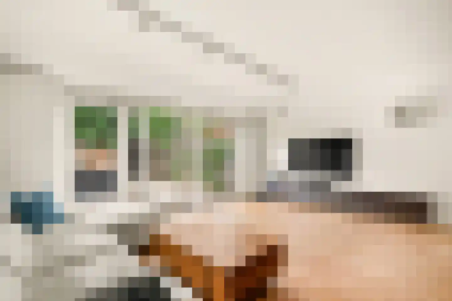 De Kamp 37 Velserbroek thumbnail 15