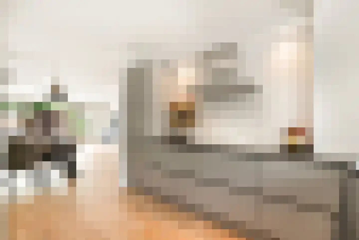De Kamp 37 Velserbroek thumbnail 24