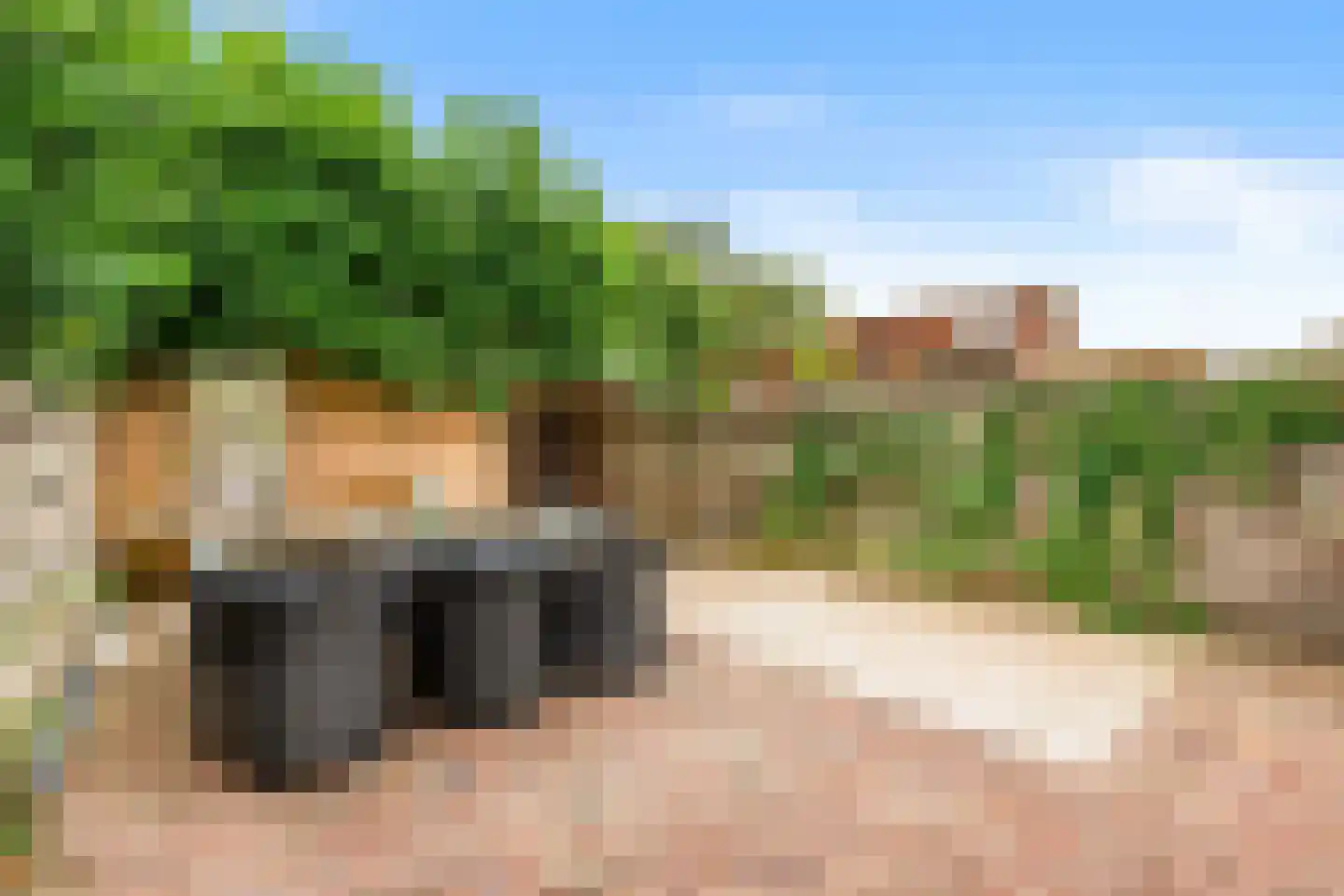 De Kamp 37 Velserbroek thumbnail 26