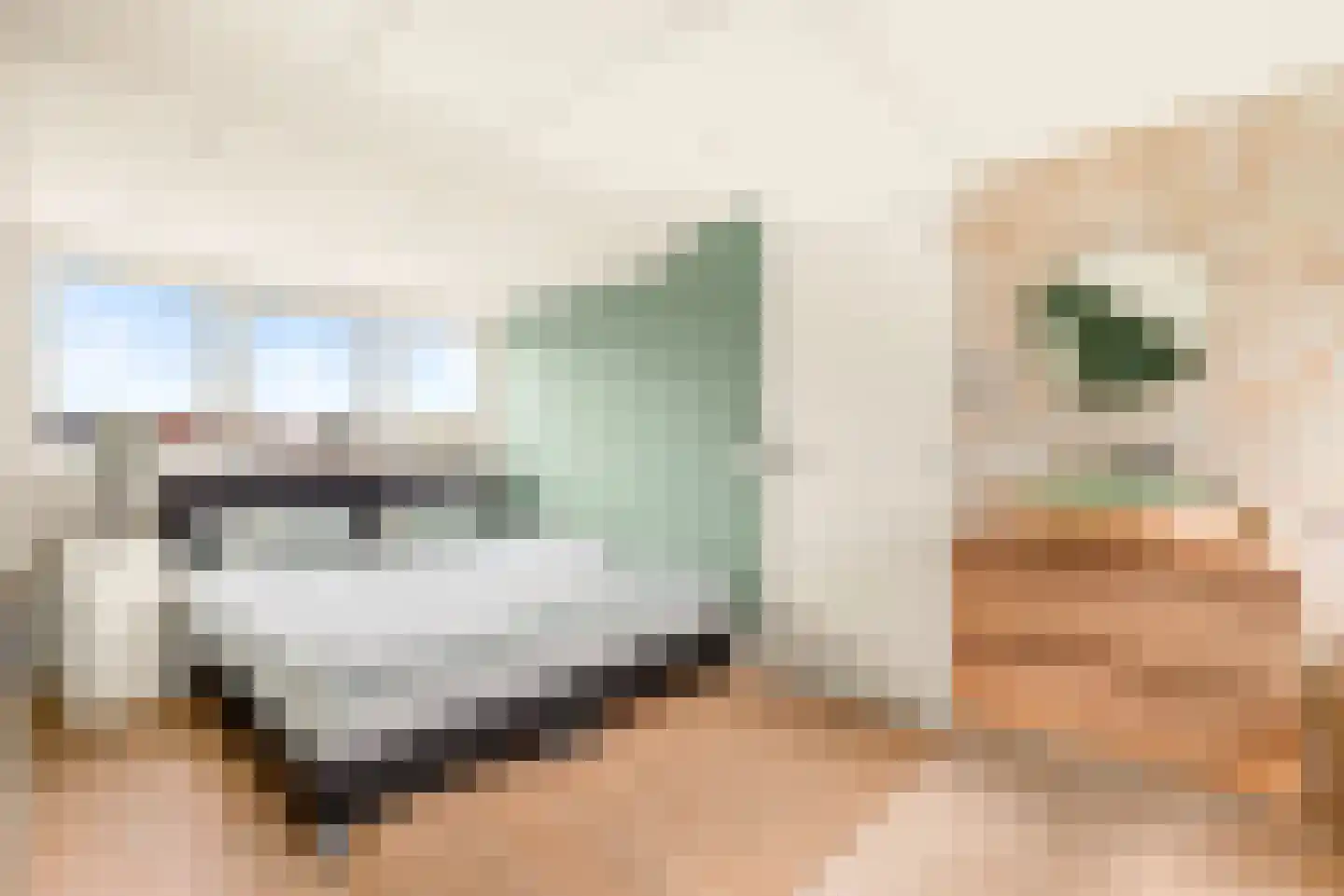 De Kamp 37 Velserbroek thumbnail 45