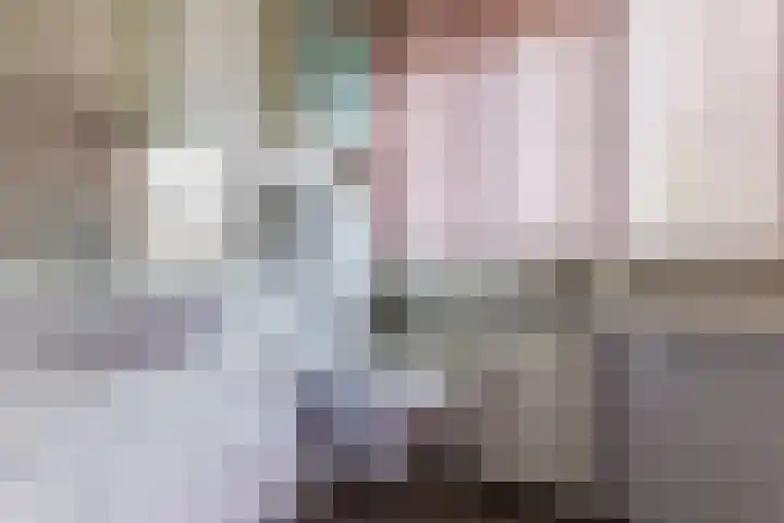 De Kamp 37 Vroomshoop thumbnail 15