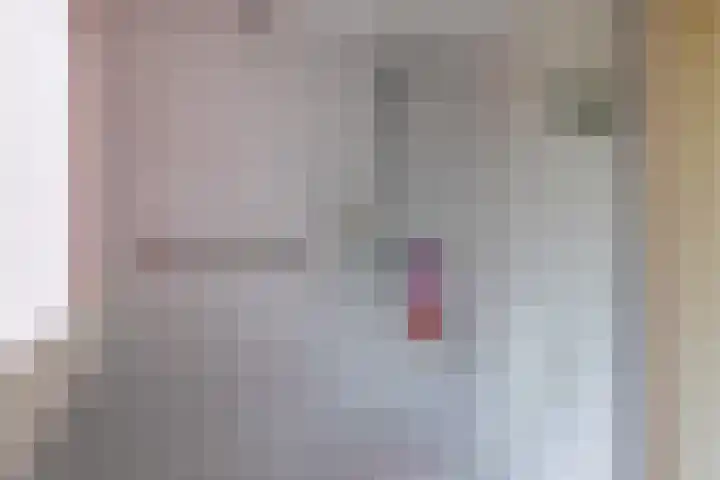 De Kamp 37 Vroomshoop thumbnail 16