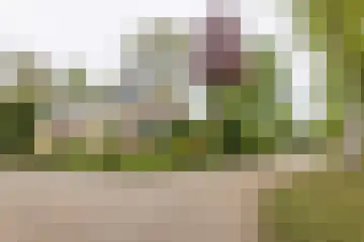 De Kamp 37 Vroomshoop thumbnail 19