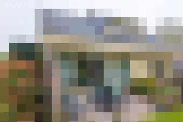 De Kamp 37 Vroomshoop thumbnail 22
