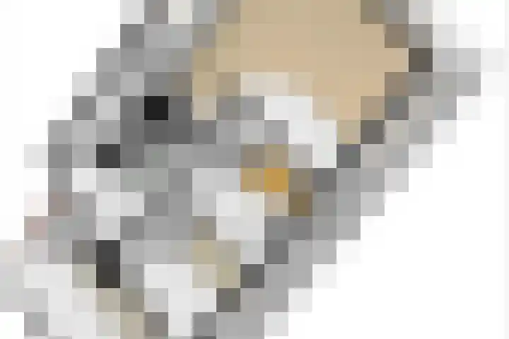 De Kamp 37 Vroomshoop thumbnail 30