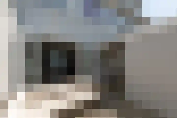 De Kamp 37 Vroomshoop thumbnail 34
