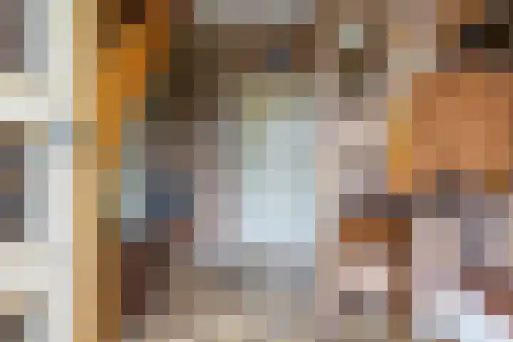 De Kamp 37 Vroomshoop thumbnail 5