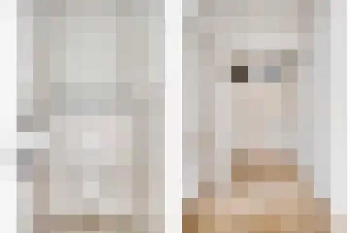 De Kamp 4 Deventer thumbnail 11