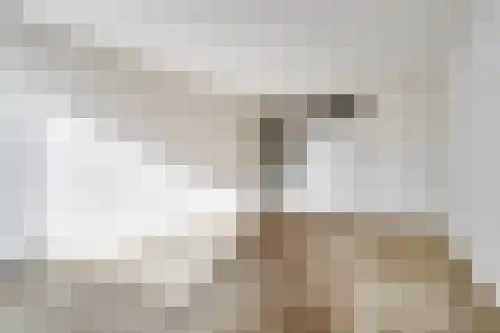 De Kamp 4 Deventer thumbnail 14