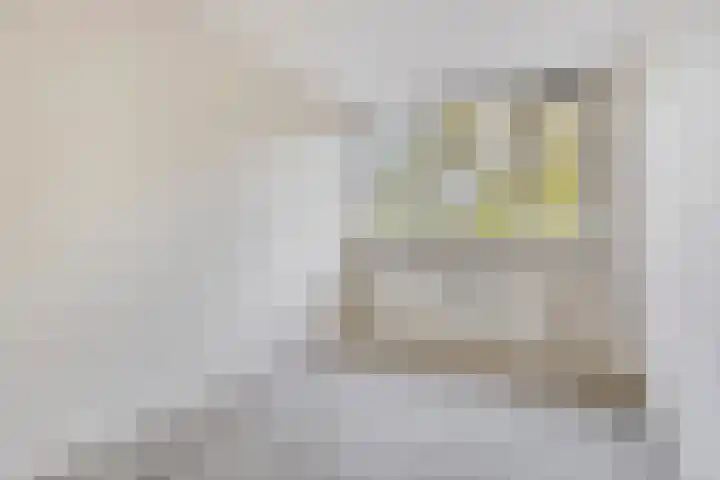 De Kamp 4 Deventer thumbnail 23