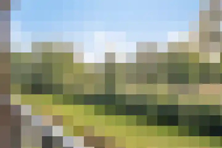 De Kamp 4 Deventer thumbnail 5