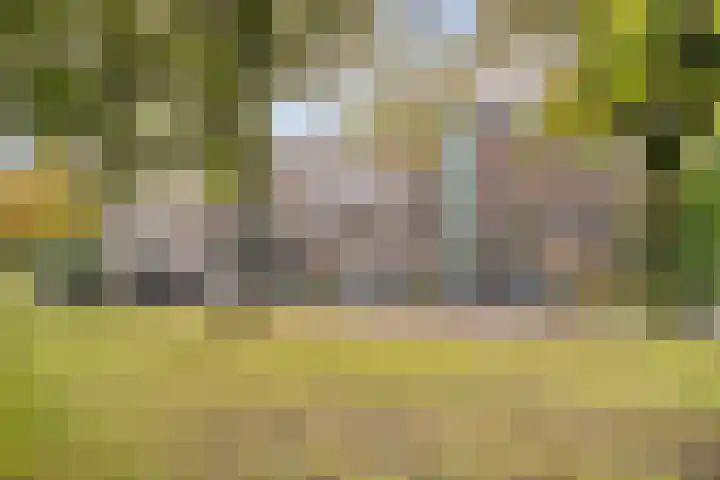 De Kamp 4 Deventer thumbnail 6