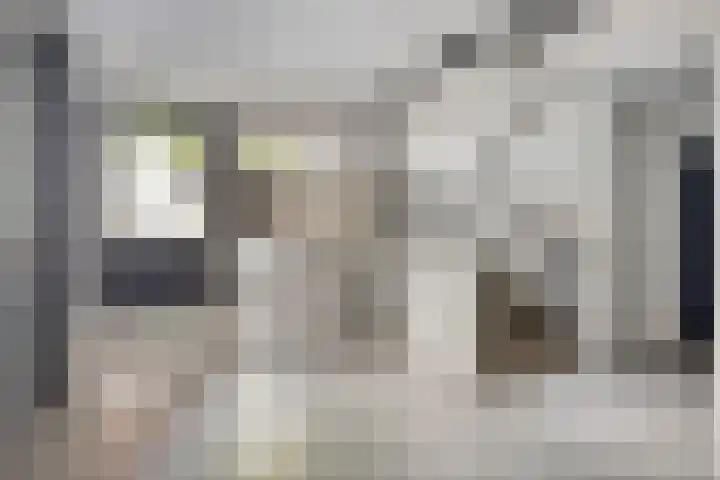 De Kamp 4 Deventer thumbnail 8