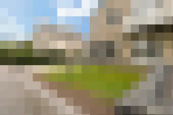 De Kamp 5 Oentsjerk thumbnail 10
