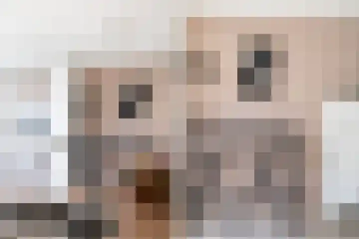 De Kamp 5 Oentsjerk thumbnail 23