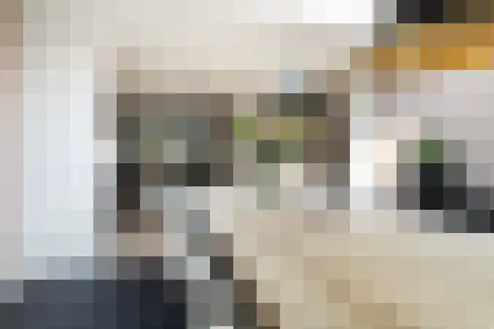 De Kamp 5 Oentsjerk thumbnail 26