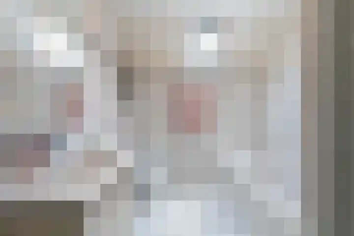 De Kamp 5 Oentsjerk thumbnail 38