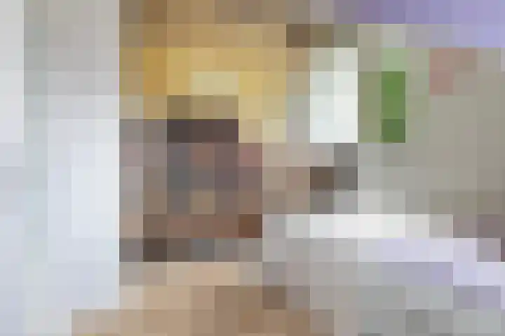 De Kamp 5 Oentsjerk thumbnail 42