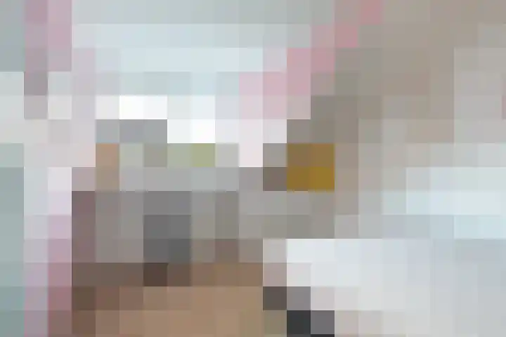De Kamp 5 Oentsjerk thumbnail 45