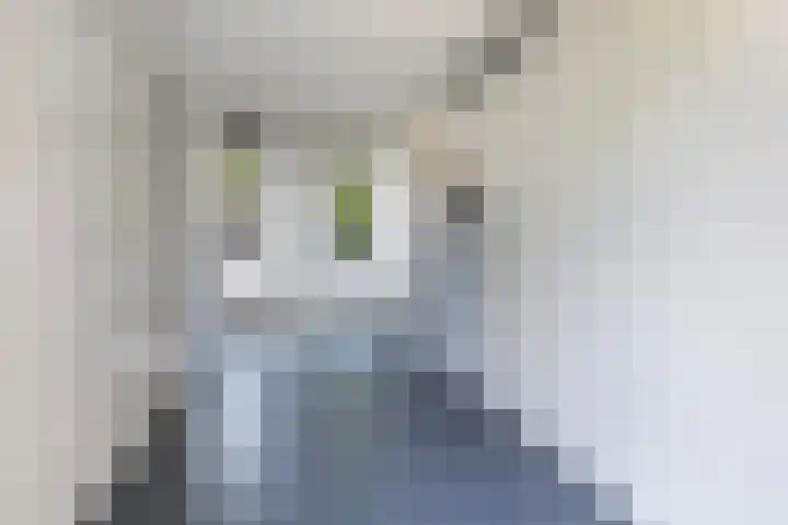 De Kamp 5 Oentsjerk thumbnail 48