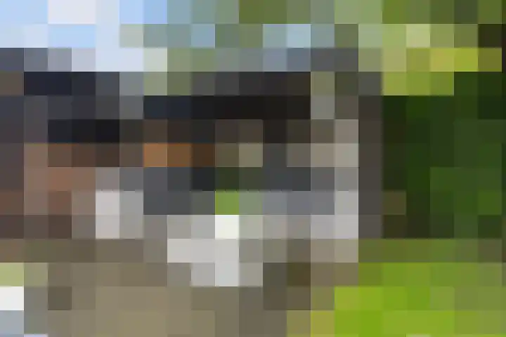 De Kamp 5 Oentsjerk thumbnail 50