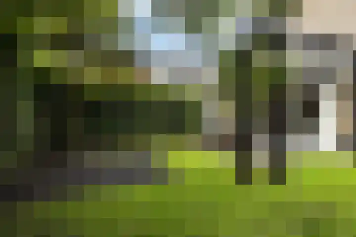 De Kamp 5 Oentsjerk thumbnail 51