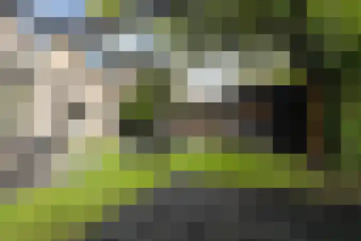 De Kamp 5 Oentsjerk thumbnail 52