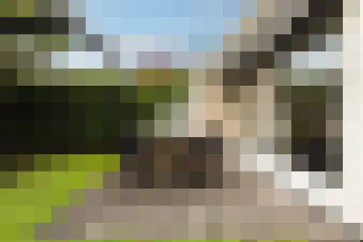 De Kamp 5 Oentsjerk thumbnail 53