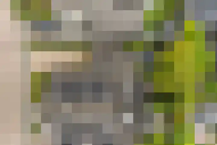 De Kamp 5 Oentsjerk thumbnail 54